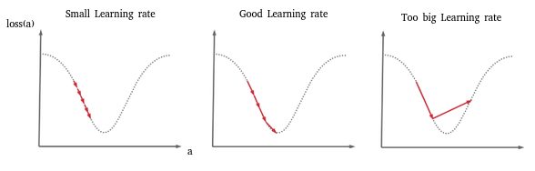 The Stochastic Gradient Descent (SGD) & Learning Rate